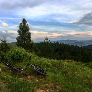 Meet your Posher, Carly